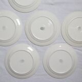 Deep plate service x6, Santos service, pink, Villeroy and Boch, vintage