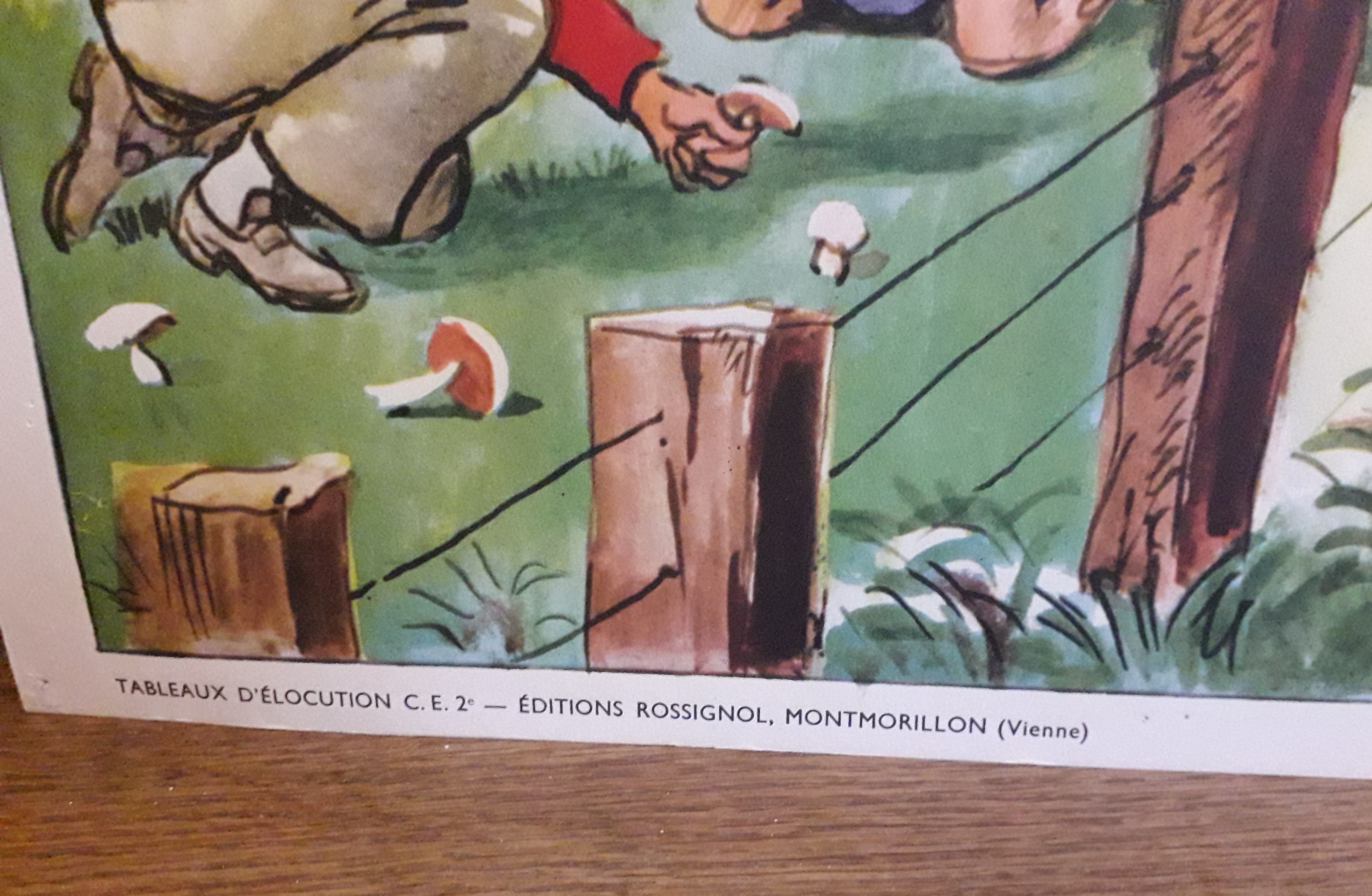 School poster of the 50s, Rossignol editions, mushroom picking