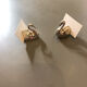 Lot de 16 cygnes marque-places porte-noms
