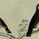 Original ornithological plate " Goldfinch - Grand Tangara -&c..." Buffon (1837)