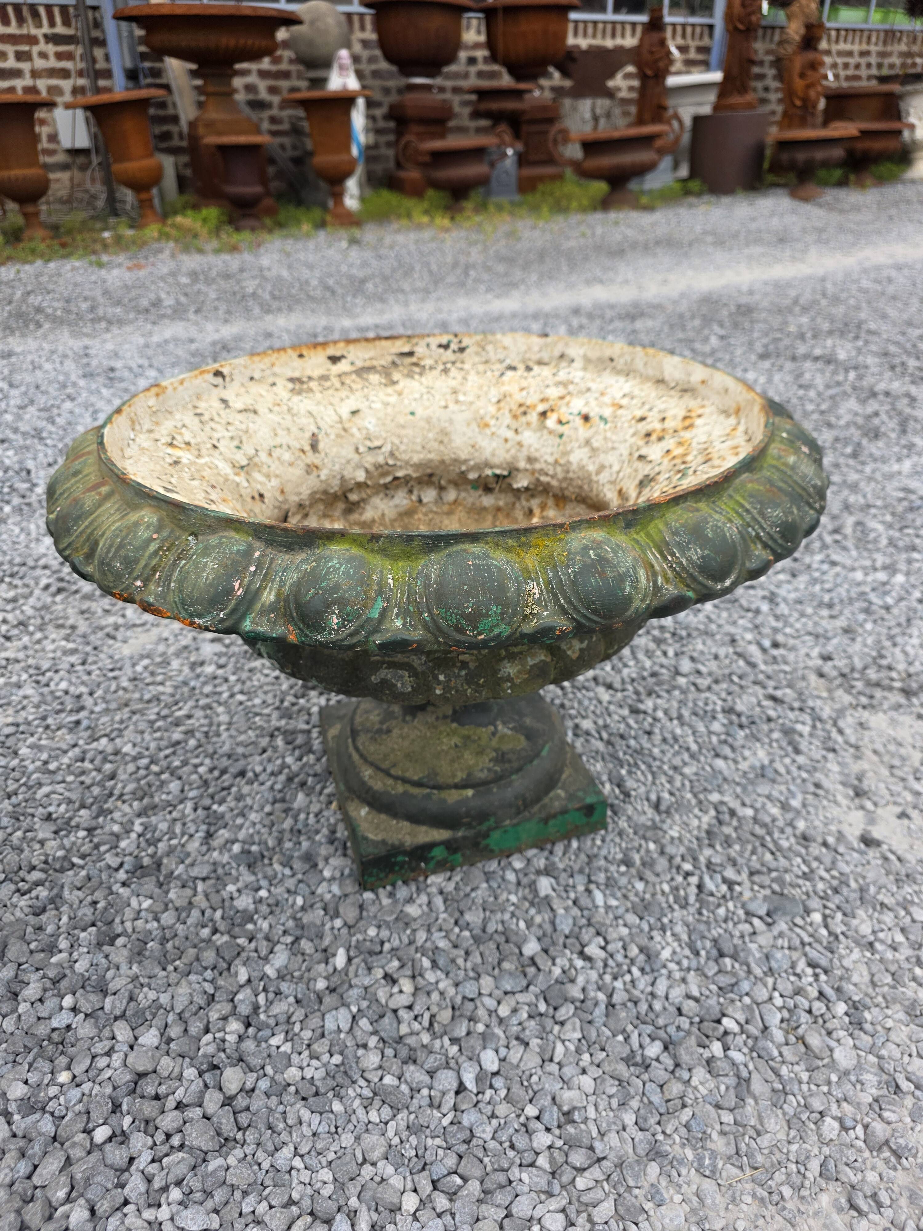 Pair of Medici vases in cast iron from the 19th century, 55cm wide.