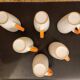 Set of 6 orange and white cups – 10 cl – perfect condition