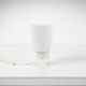 Monumental floor / table Glass Table Lamp, Selenova Italy, 1970s