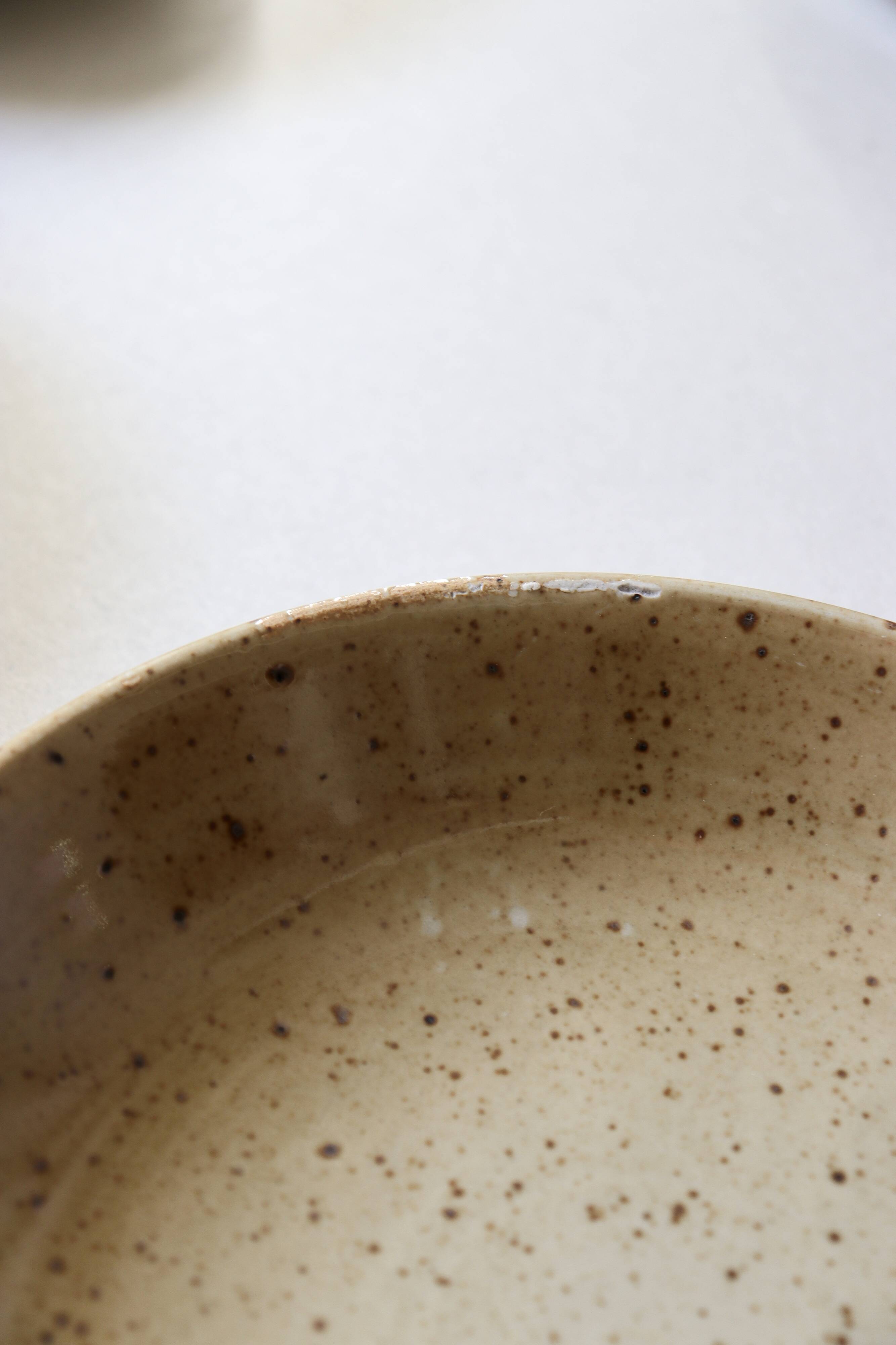 7 speckled stoneware plates