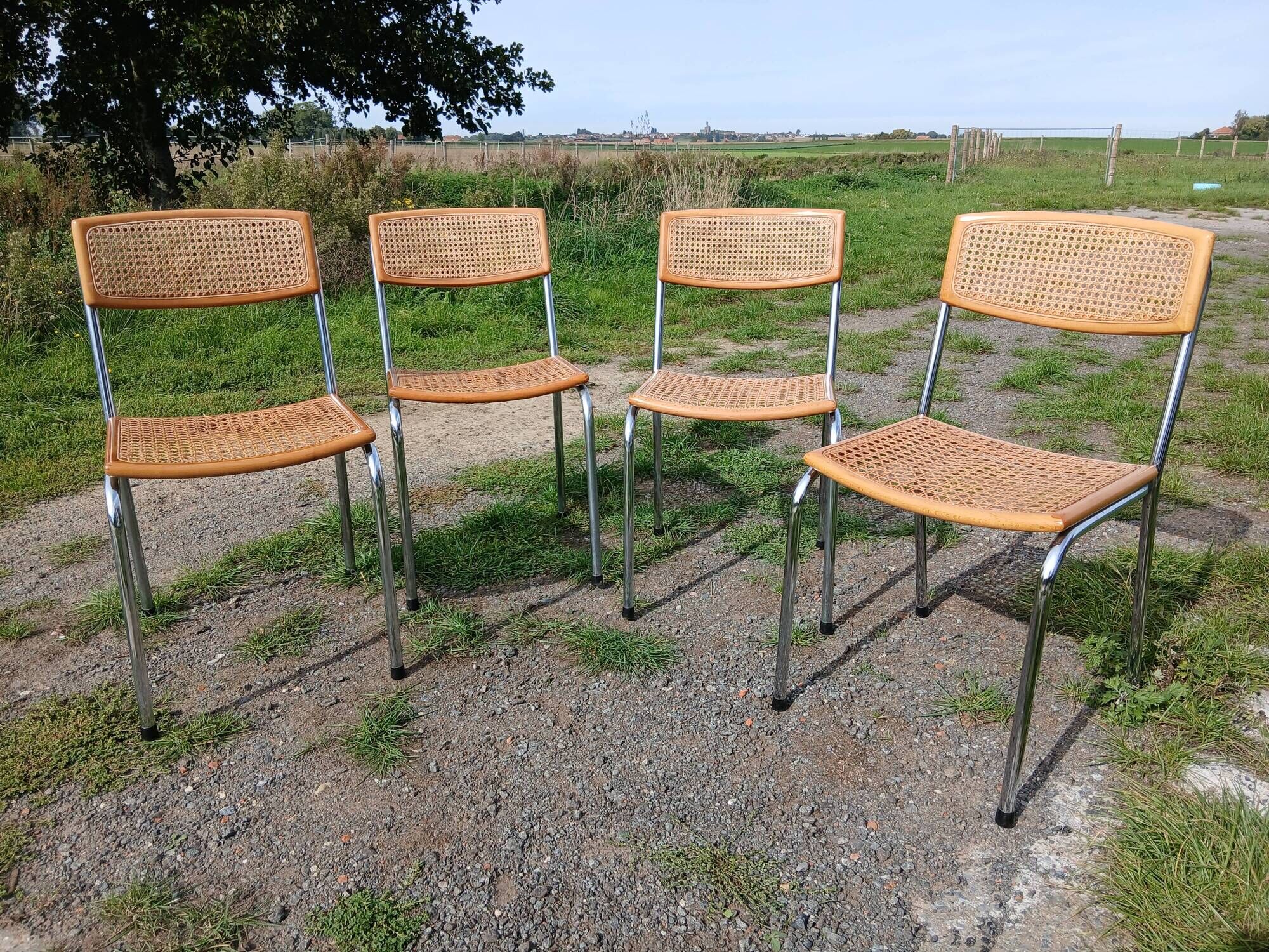 Cesca chairs