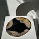 Empty pocket or dish in medium petrified wood