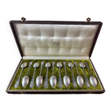 Box of 12 spoons