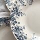 10 "Dodds" ironstone soup plates from Choisy le Roi