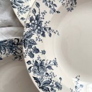 10 "Dodds" ironstone soup plates from Choisy le Roi