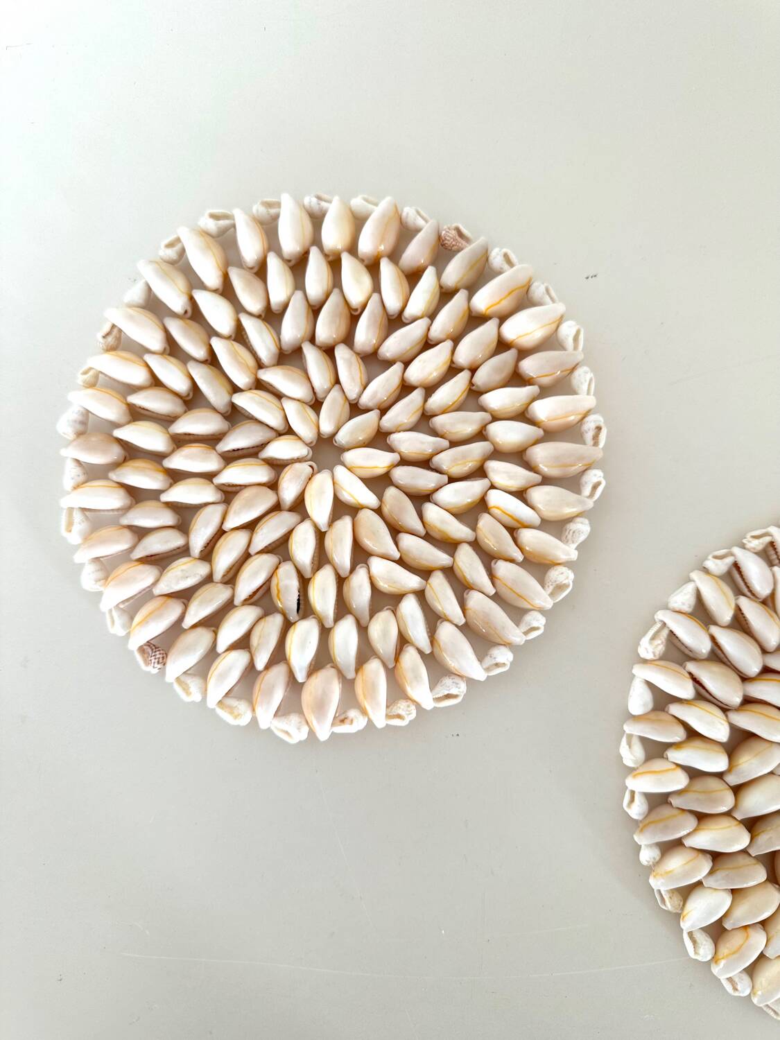 Pair of shell trivets