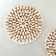 Pair of shell trivets