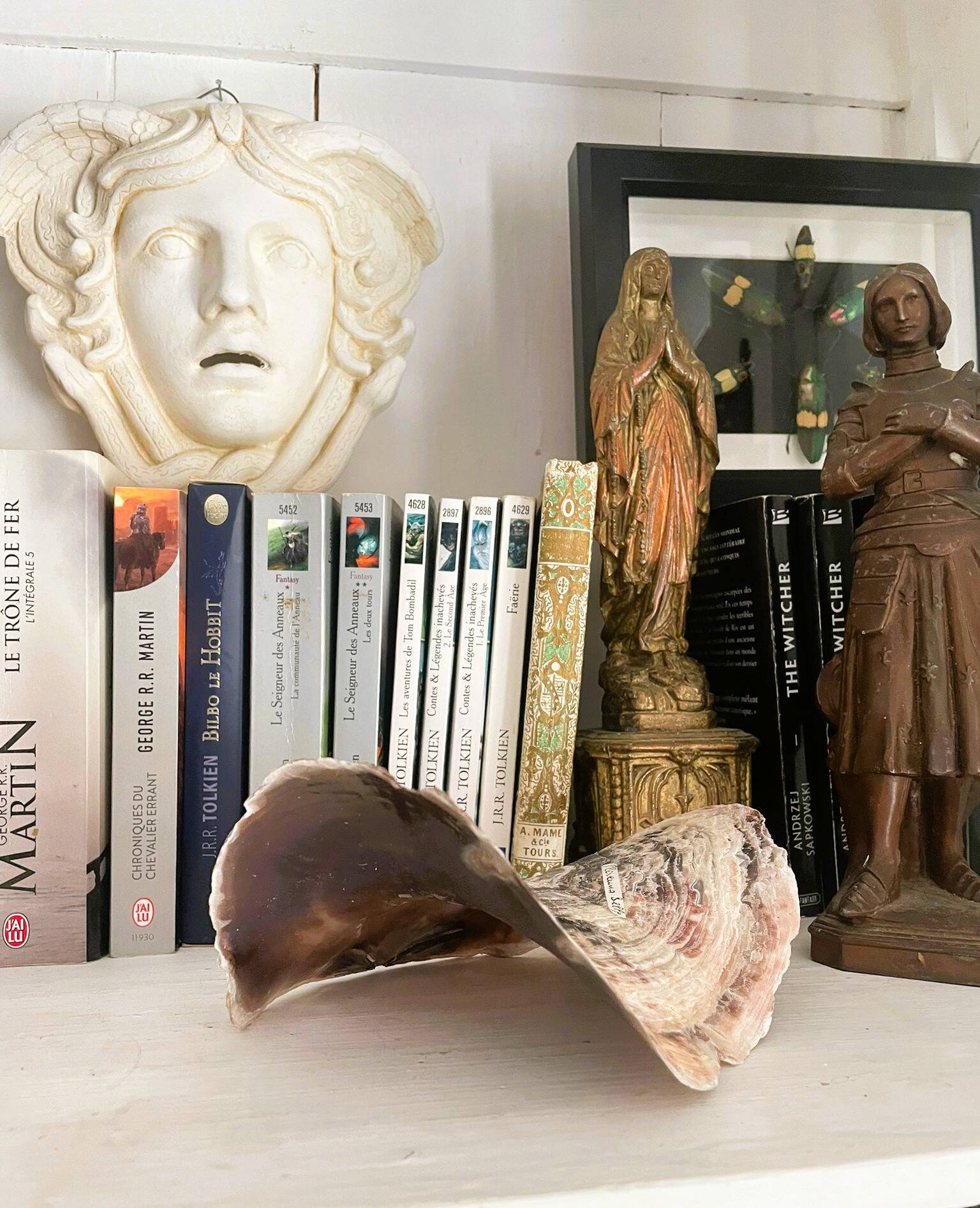 Large seashell: Placuna