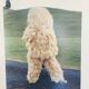 Estelle Hanania, original print 1/5, signed, 2007