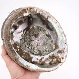 Empty abalone shell pocket, 70s
