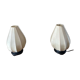 Paire de lampes lotus