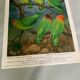 Poster "The Birds of the World" - 1969