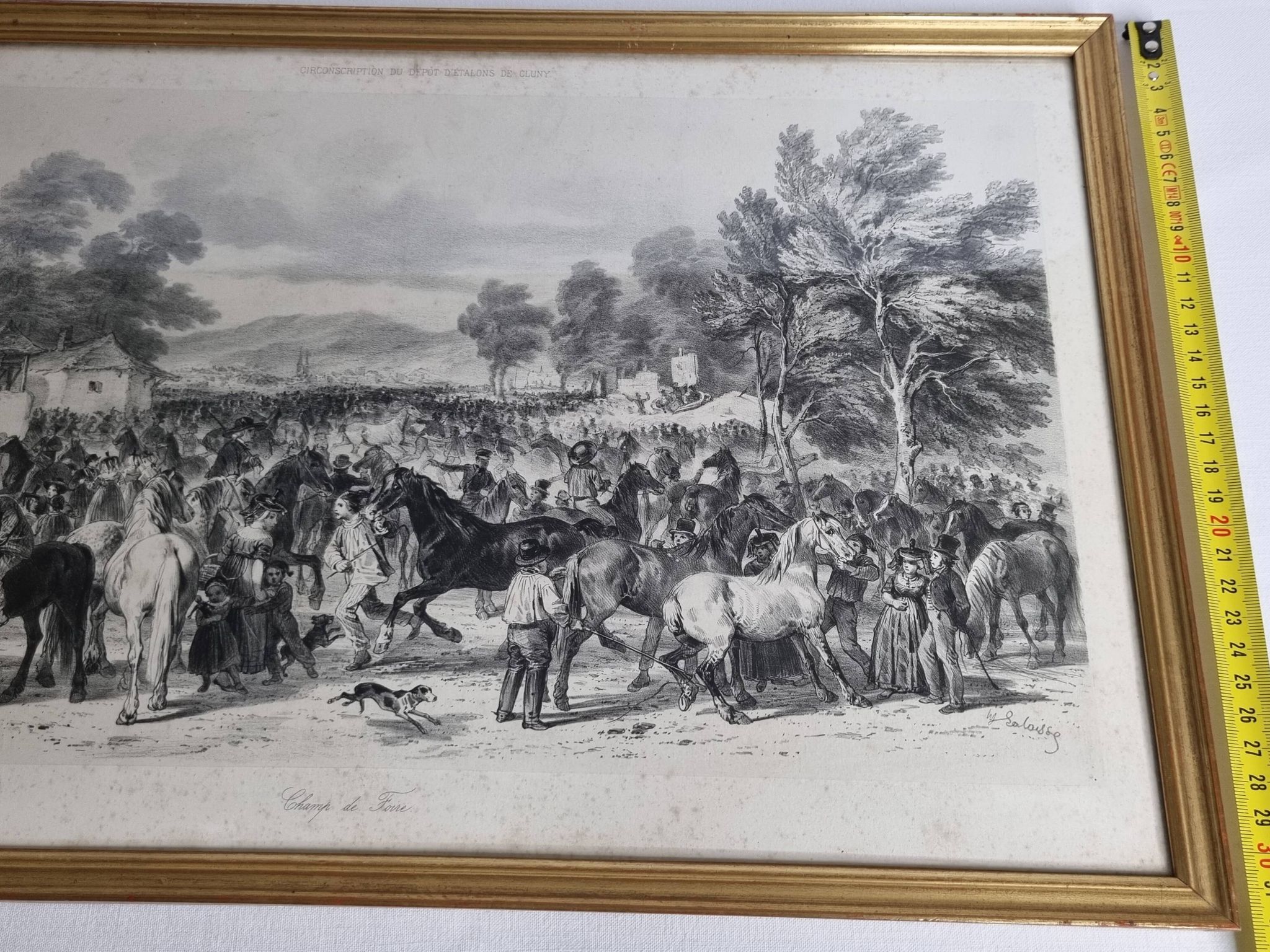 Original framed engraving of the nineteenth after Hippolyte Lalaisse, Cluny Stallion Fair