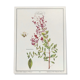 Botanical plate henna