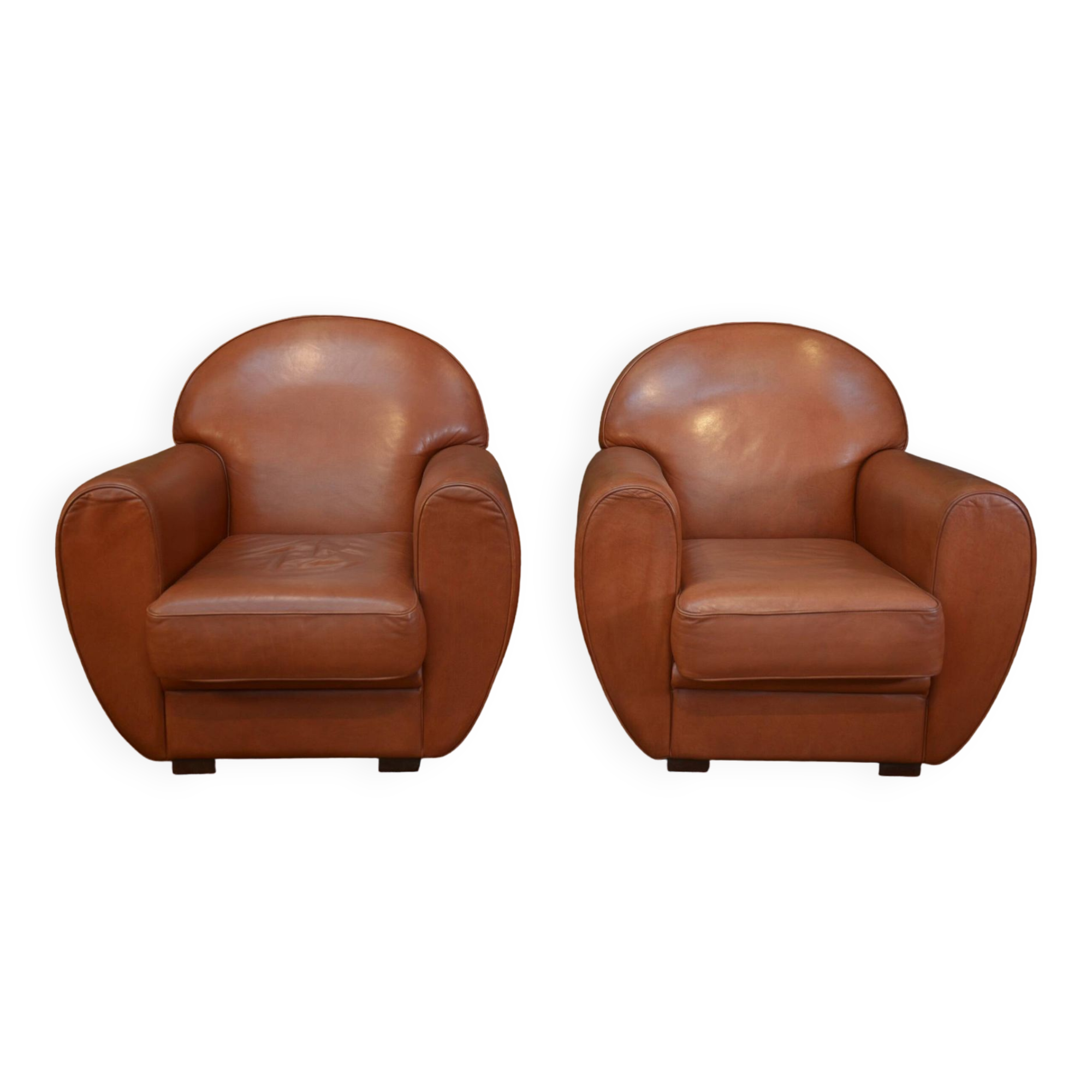 Fauteuil Cuir Roche Bobois