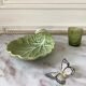 Cup delight slurry cabbage