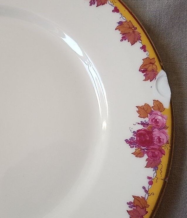 Limoges porcelain by André François (1919-1934) - 12 plates + 1 dish