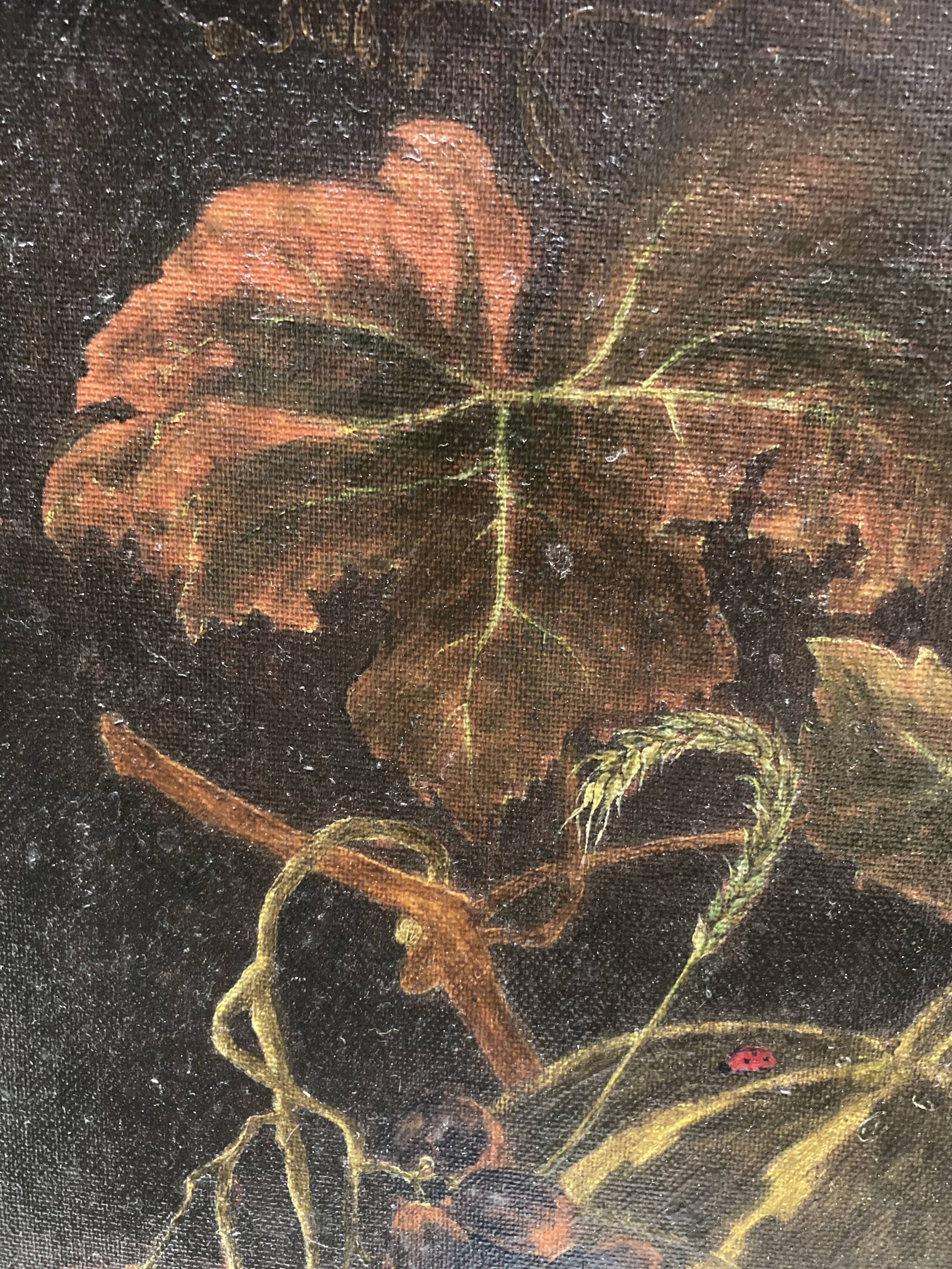 Nature morte aux insectes