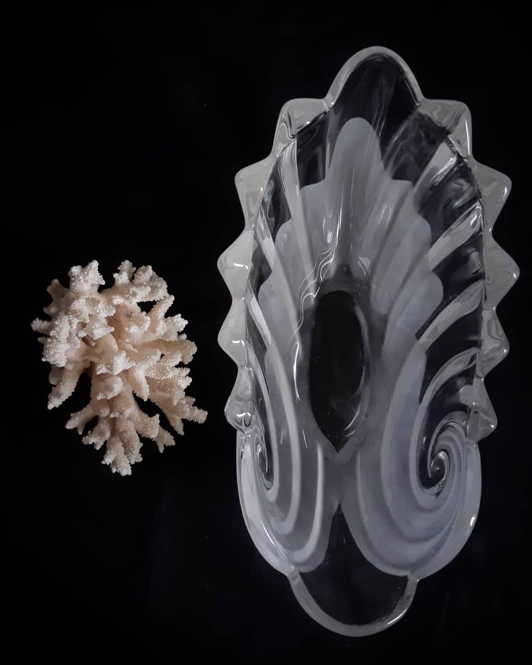 Glass cup shaped shell