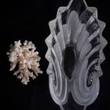 Glass cup shaped shell