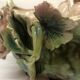 Flower slip planter vase 1900