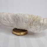 Old white coral on brass base "Pacific Shell", 28 cm
