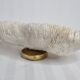 Old white coral on brass base "Pacific Shell", 28 cm