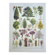 Old engraving 1928, Gardens 1, ornamental trees, plants • Lithograph, Original plate