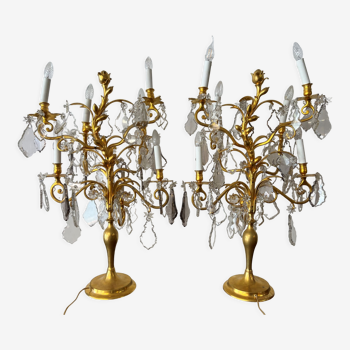 Pair of lamps in gilded bronze and crystal