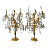 Pair of lamps in gilded bronze and crystal