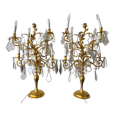 Pair of lamps in gilded bronze and crystal