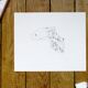 Viennese, original drawing