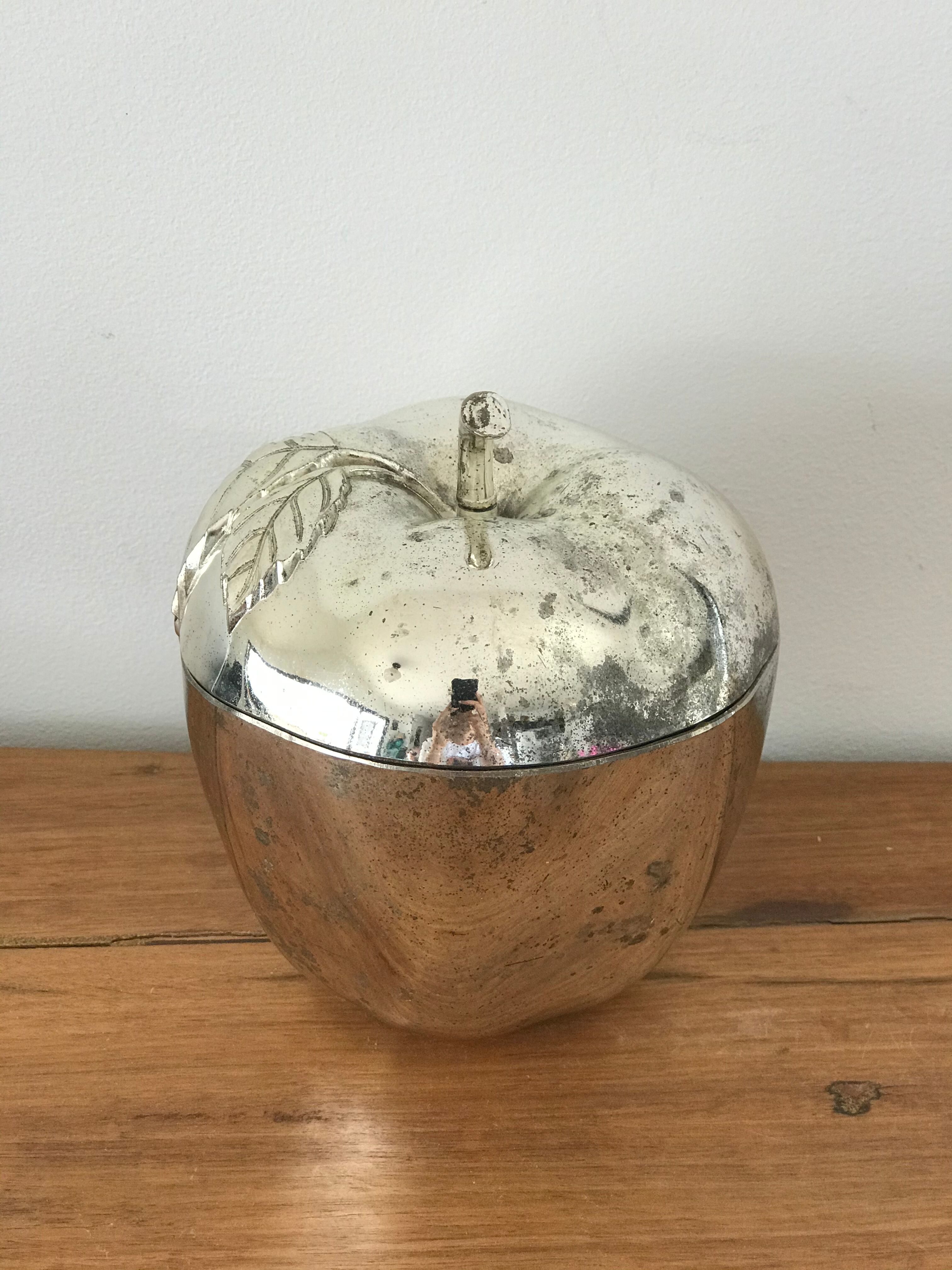 Vintage ice cube apple