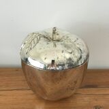 Vintage ice cube apple