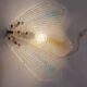 Appliques en Verre de Murano Lot de 2