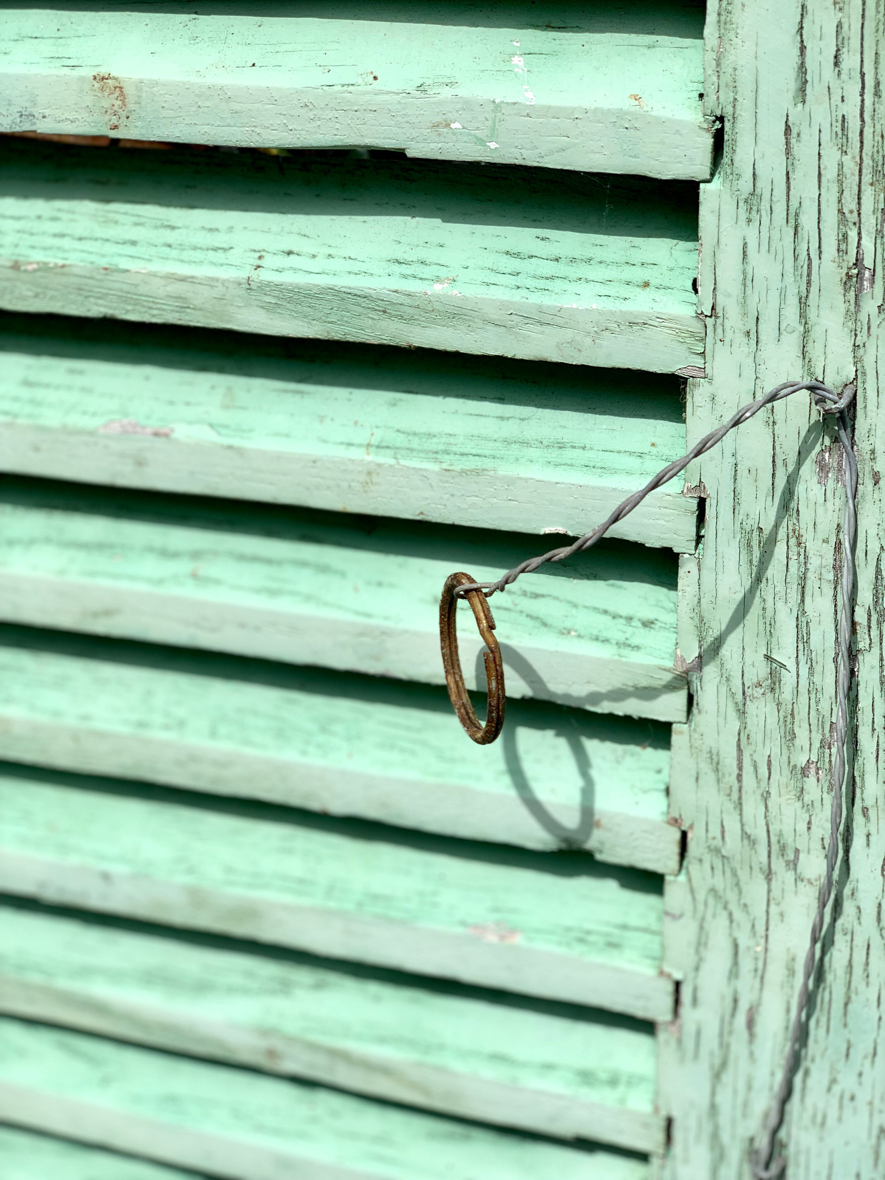 Old wood volet mint color