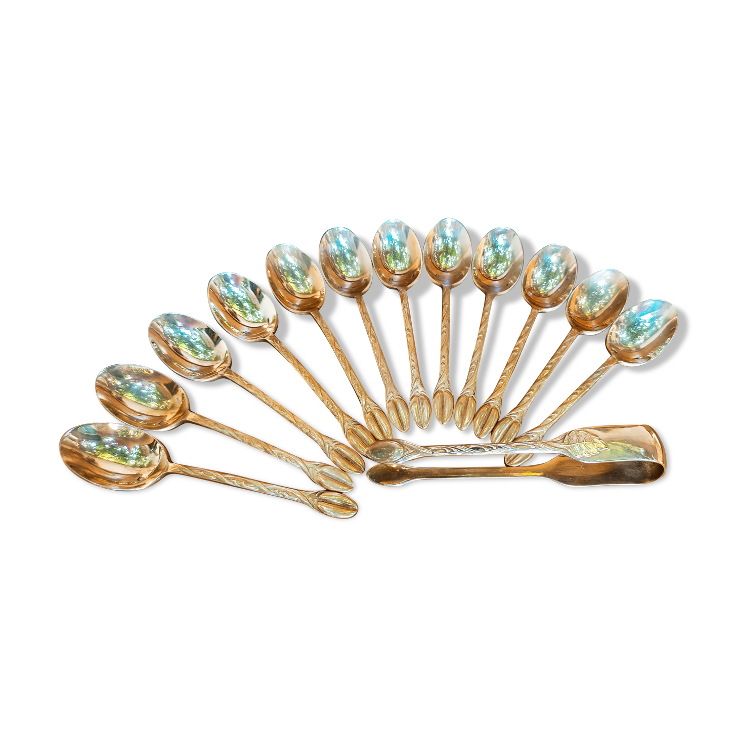 12 golden mocha spobbles and sugar claws