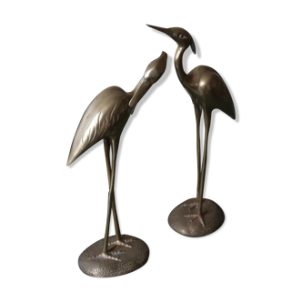 Pair of herons