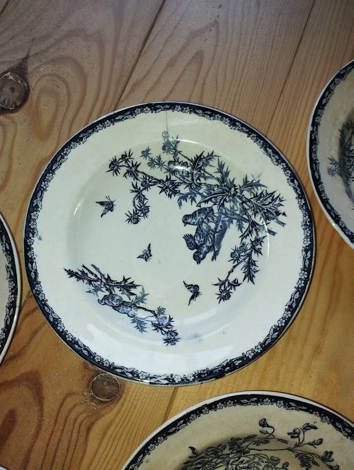 Flat Plates “Terre de Fer – The Chicks” (5 pieces)