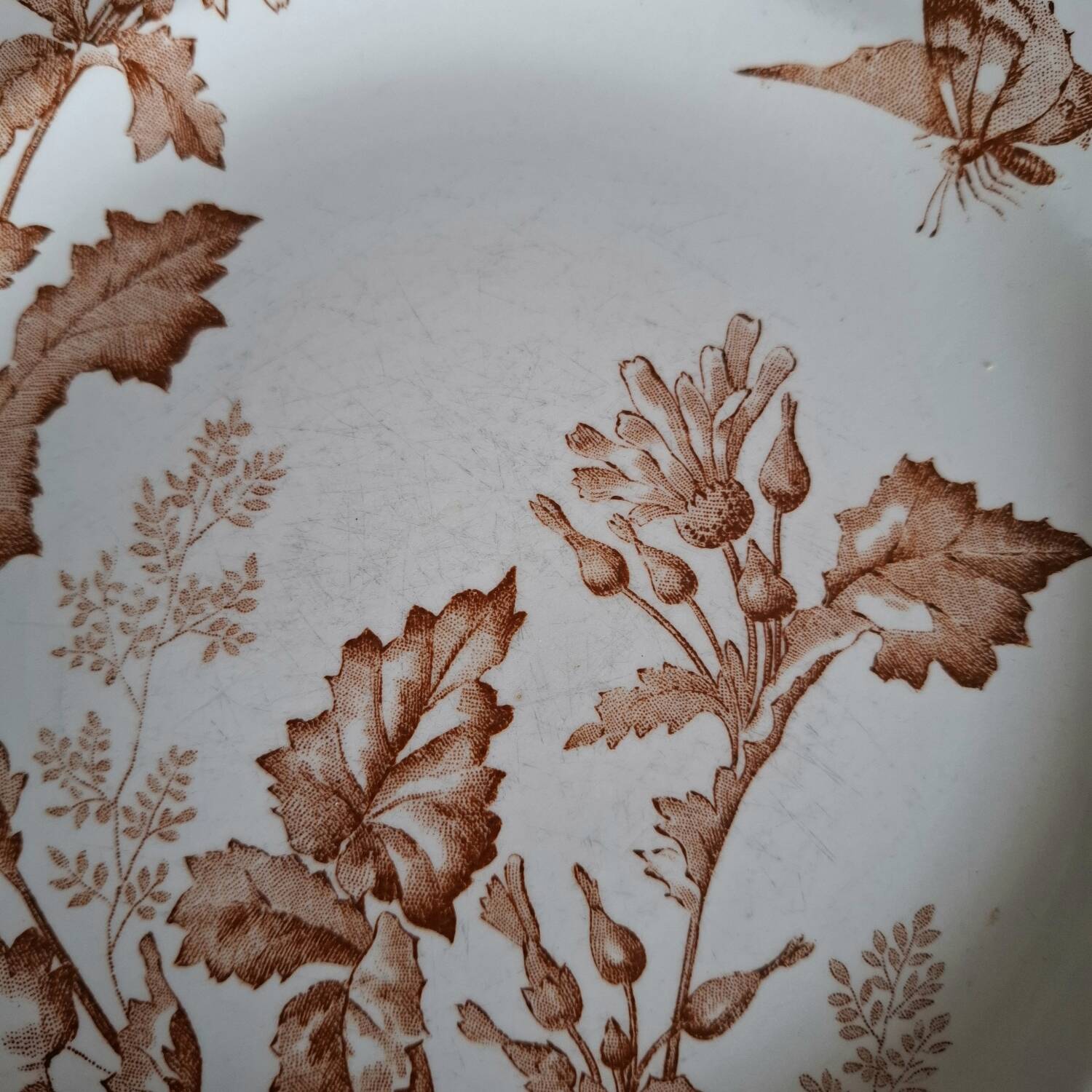 Antique iron earthenware plates accompanied by dishes