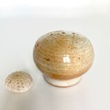 Salt shaker Sandstone of the Marsh