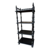 Napoleon III style blackened wood bookcase