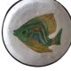 Vallauris plates signed Le Brescon fish pattern