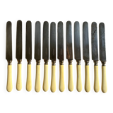 Set of 12 horn-handled knives