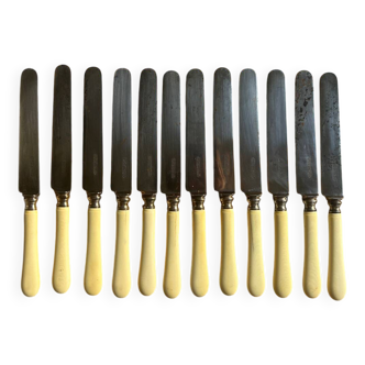 Set of 12 horn-handled knives