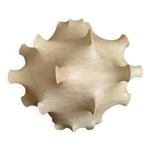 suspension taraxacum